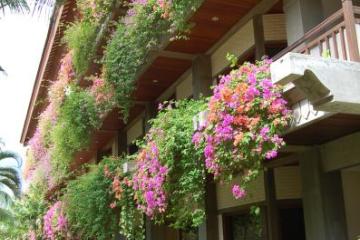 Отель Jayakarta Lombok Индонезия, о Ломбок, фото 3