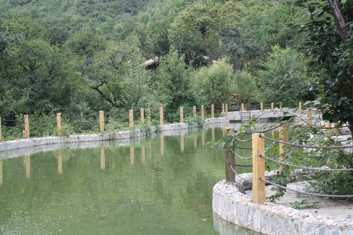 Jing Zhi