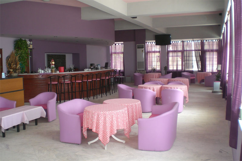 Ammes Studios
