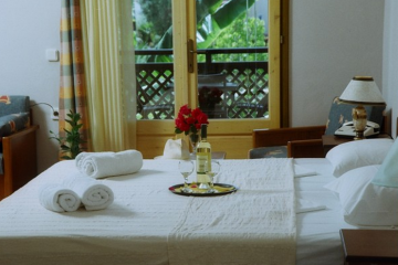 Отель Ammon Garden Греция, Халкидики-Кассандра, фото 3