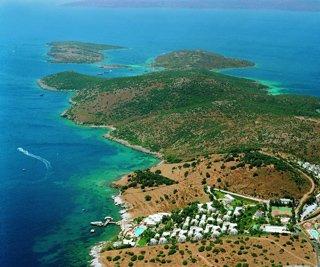 Justiniano Fuga Fine Times