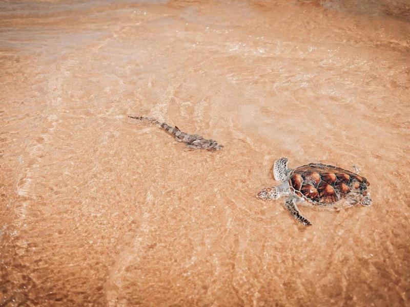 JW Marriott Phuket Resort & Spa