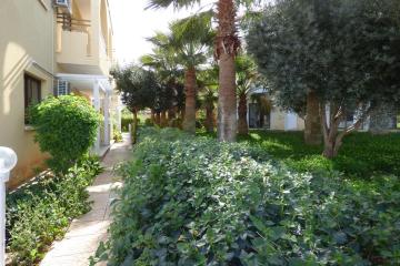 Отель Amore Hotel Apartments Кипр, Протарас, фото 16