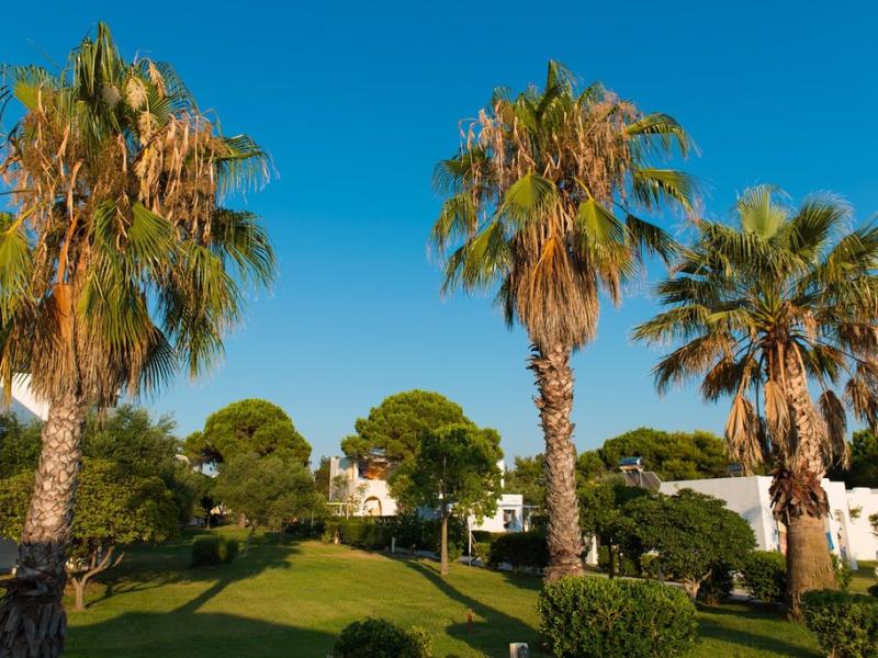 Kalogria Beach Hotel