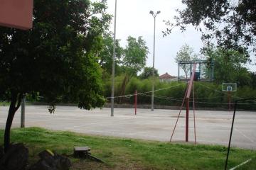 Отель Kamelija Черногория, Тиват, фото 4