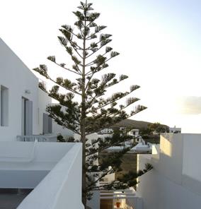 Kapetan Tasos Suites