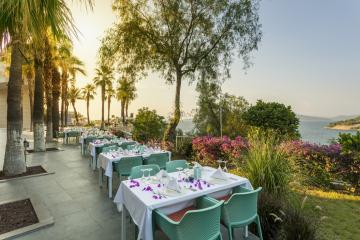 Отель Duja Hotel Bodrum Турция, Бодрум, фото 2