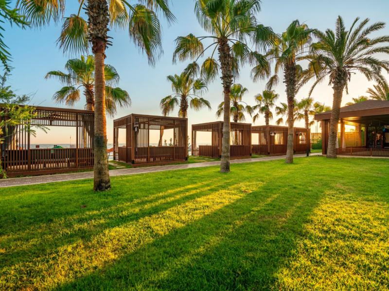 Sidera Kirman Premium