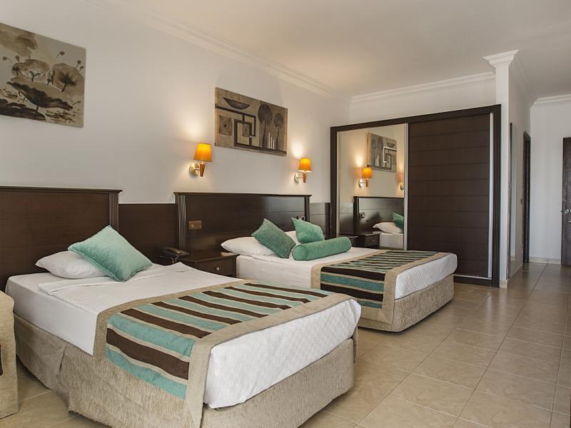 Kleopatra Royal Palm