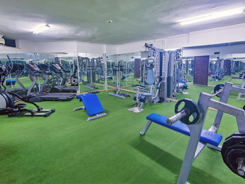 Kleopatra Royal Palm