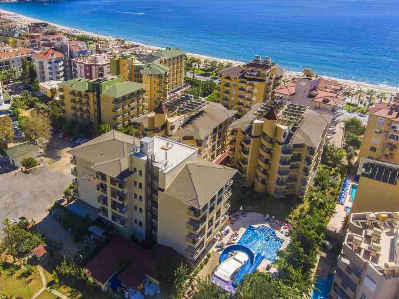 Kleopatra Royal Palm