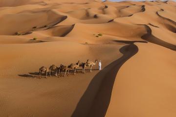 Отель Qasr Al Sarab Desert Resort by Anantara ОАЭ, Абу Даби, фото 11