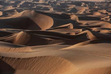 Отель Qasr Al Sarab Desert Resort by Anantara ОАЭ, Абу Даби, фото 14