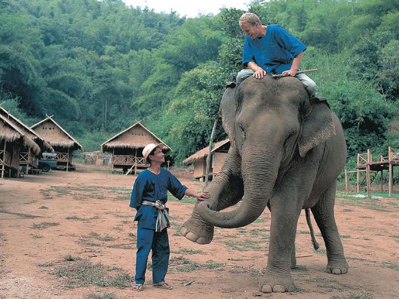 Anantara Golden Triangle Elephant Camp & Resort