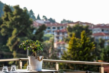 Отель Kriopigi Hotel Греция, Халкидики-Кассандра, фото 18