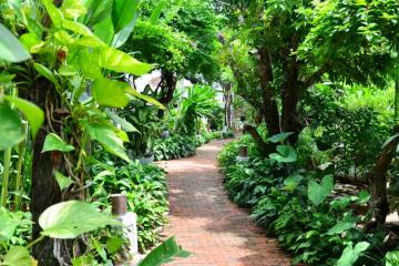 Отель Hoi An Ancient House Resort & Spa Вьетнам, Хойан, фото 12