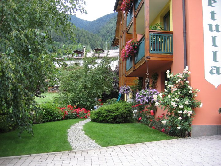 La Betulla 