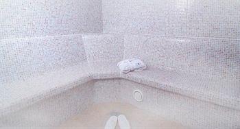 Invisa Hotel La Cala