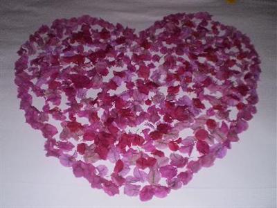 Andaman Lanta Resort