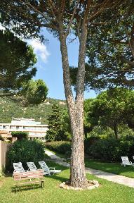 La Pinede