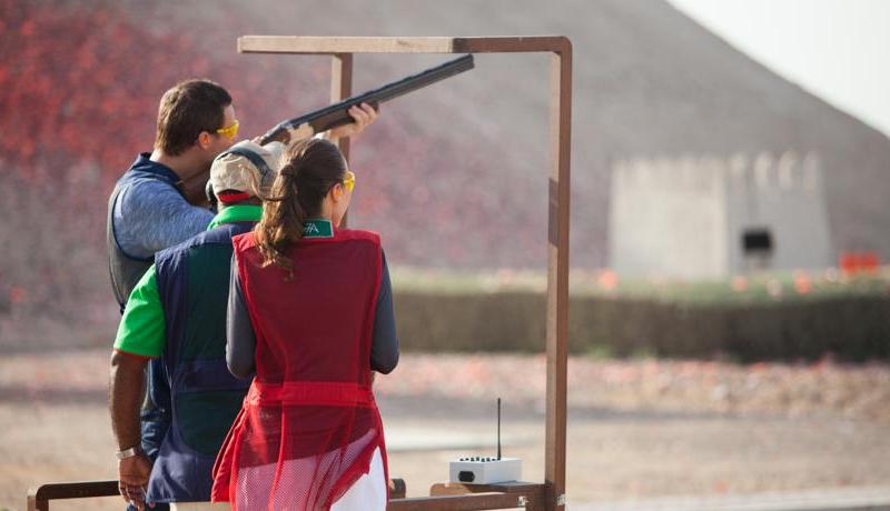 Alexandre Hotel La Siesta