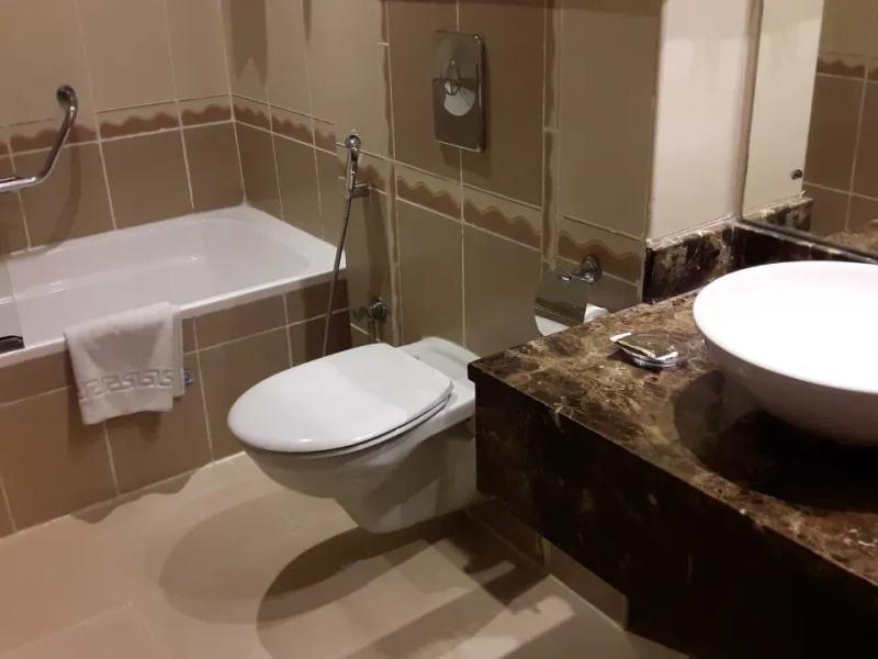 Landmark Hotel Riqqa