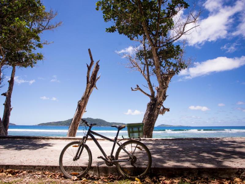 Le Domaine De L`Orangeraie