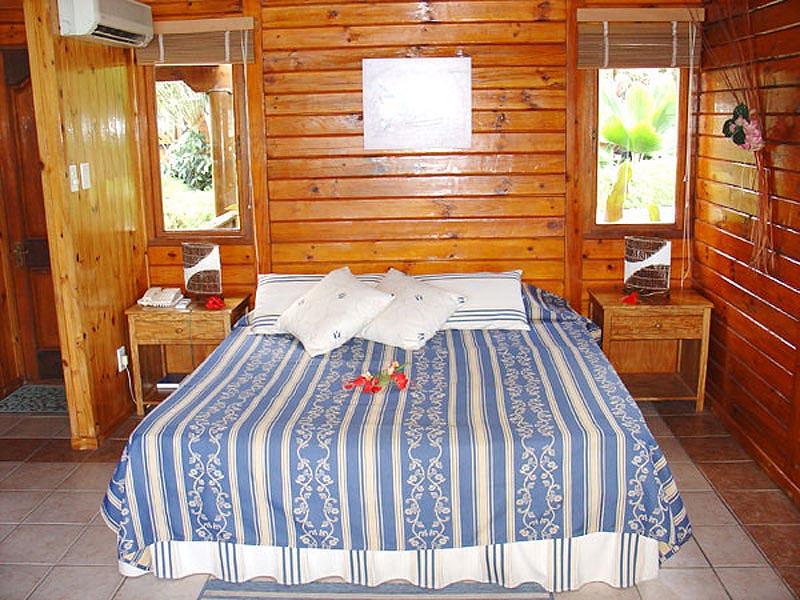 Le Jardin Des Palmes