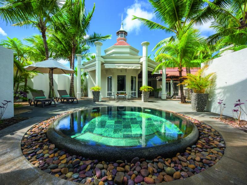 Mauricia Beachcomber