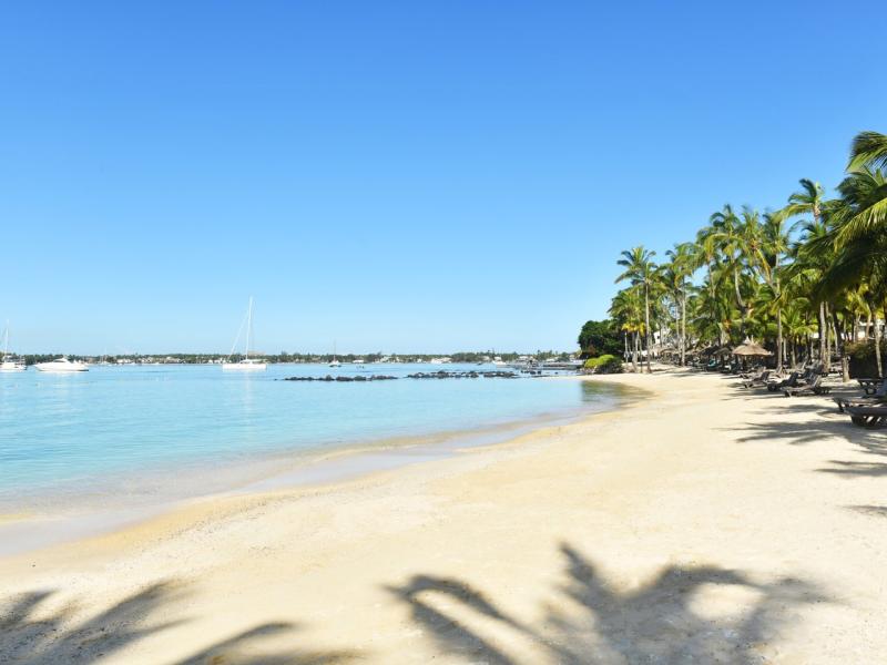 Mauricia Beachcomber