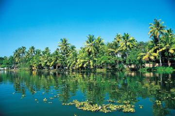 Отель Le Meridien Kochi Индия, Керала, фото 28
