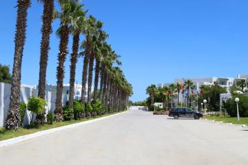 Отель Le Zenith Тунис, Хаммамет, фото 26