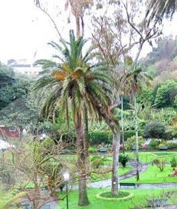 Angra Garden