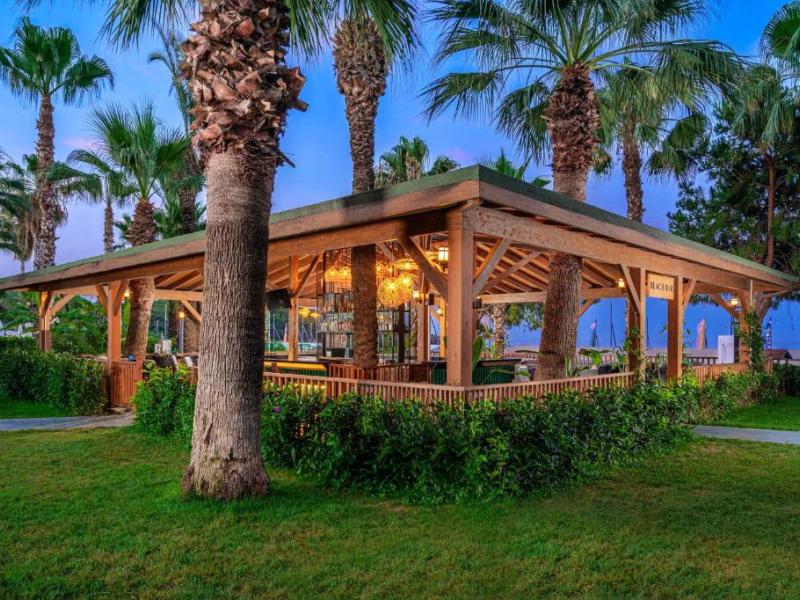 Leodikya Kirman Premium