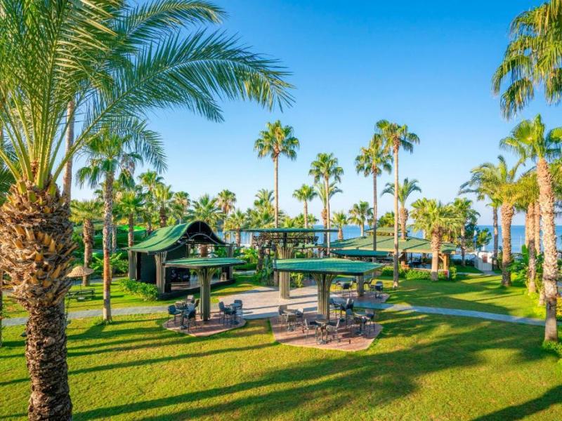 Leodikya Kirman Premium