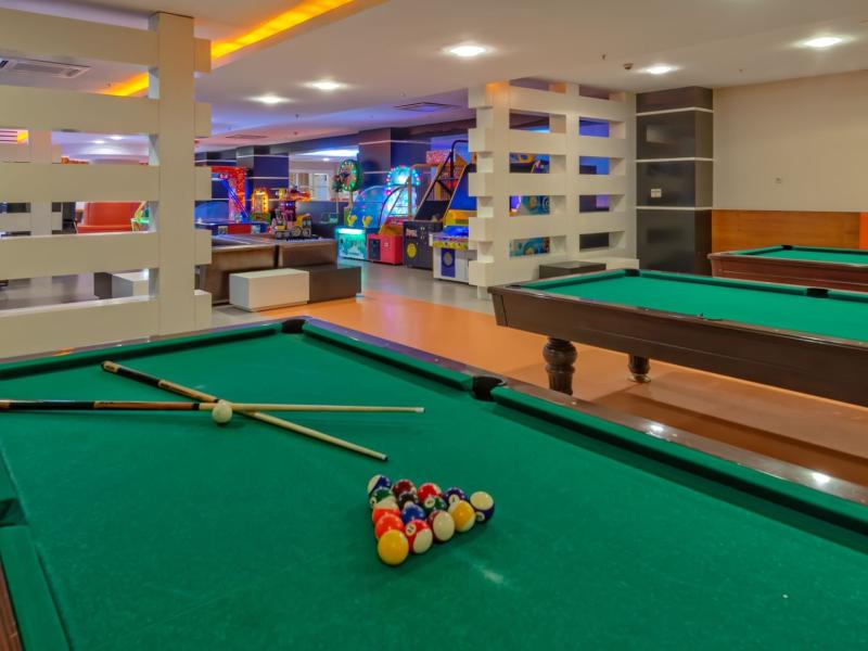 Leodikya Kirman Premium