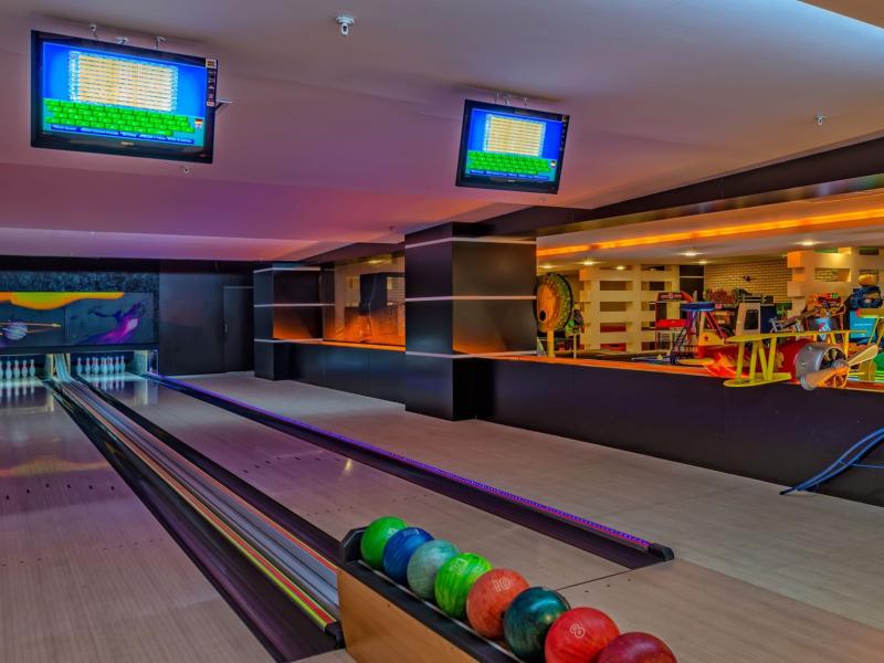 Leodikya Kirman Premium