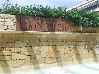 Les Strelitzias