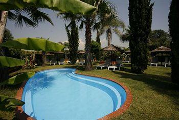 Leucosya