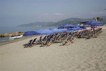 Leucosya