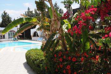 Отель Menara Тунис, Хаммамет, фото 22