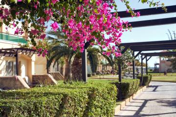 Отель Lindos Princess Beach Hotel Греция, о Родос, фото 31