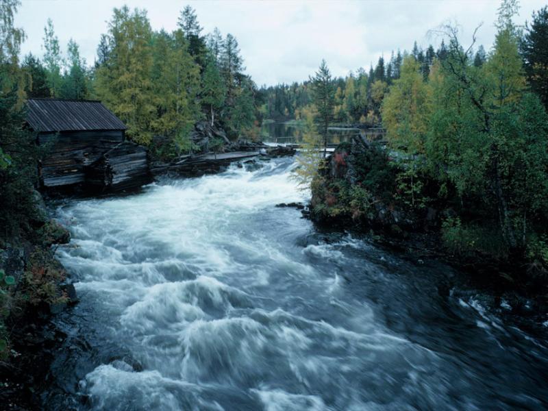 Lohimaa Cottage