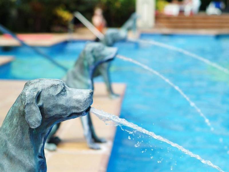 Lopesan Costa Meloneras Resort, Corallium Spa & Casino