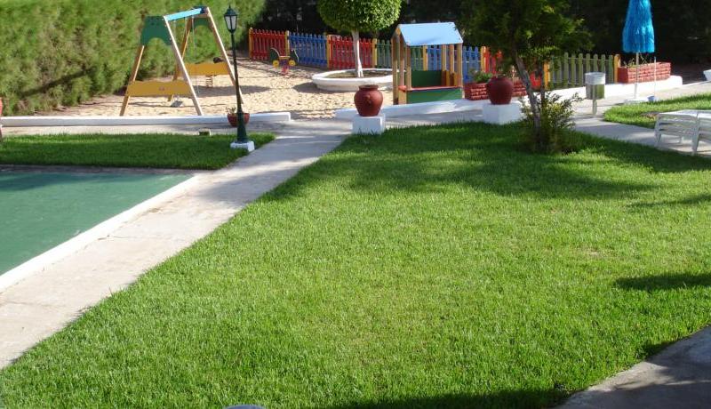 Los Ficus