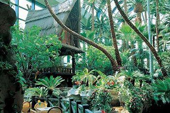 Отель Lotte Busan Южная Корея, Пусан, фото 13