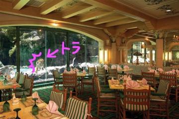 Отель Lotte Busan Южная Корея, Пусан, фото 31