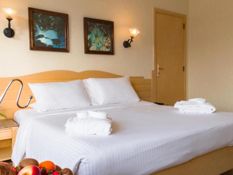 Invidia Coral Beach Tiran