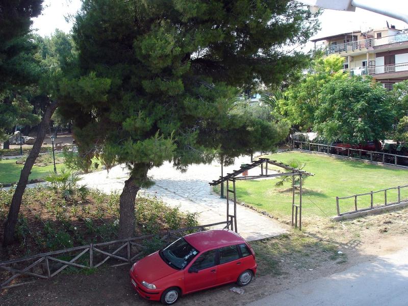 Loxandra Studios Metamorfosi