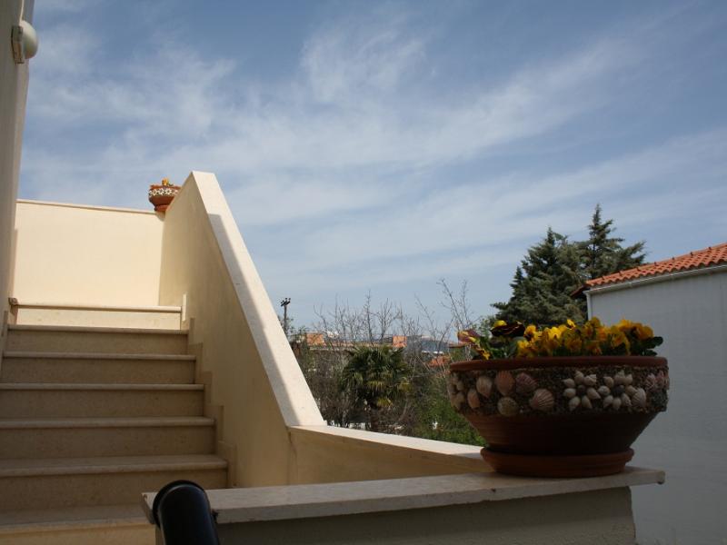 Loxandra Studios Metamorfosi